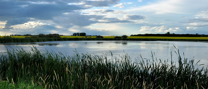 Clouds over Waterhole by Cheryl Van Der Raadt